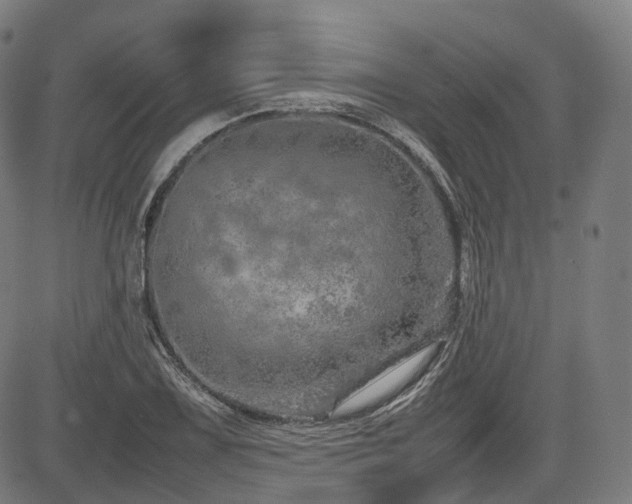 X0000085271075200703091346