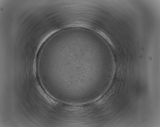 X0000085271076200703091346