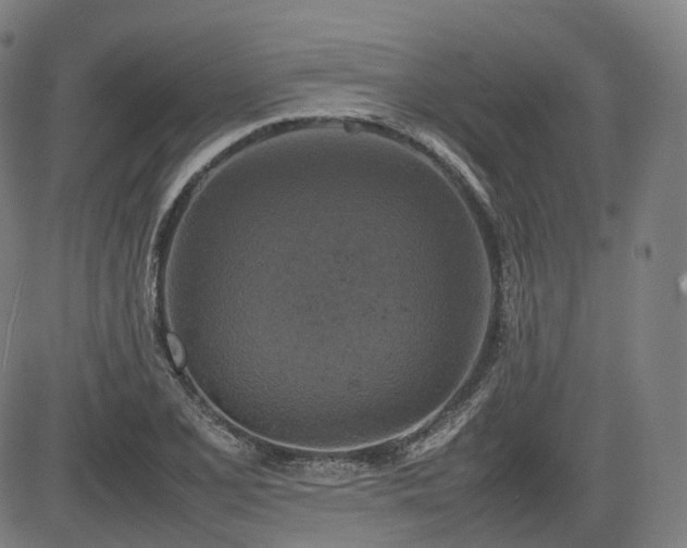 X0000085271077200703091346