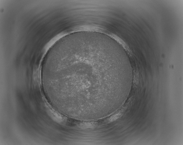 X0000085271078200703091346