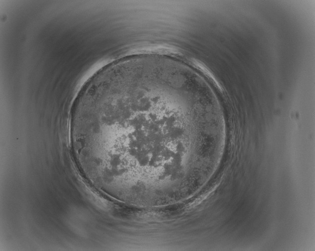 X0000085271079200703091346