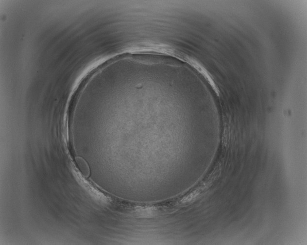 X0000085271080200703091346