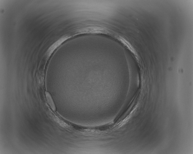 X0000085271081200703091346