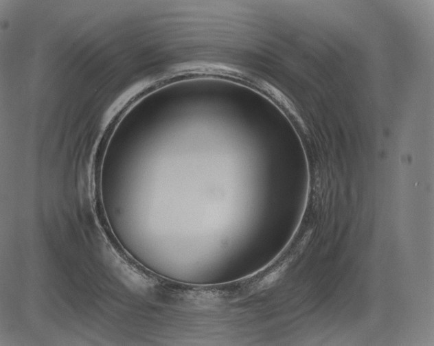 X0000085271082200703091346