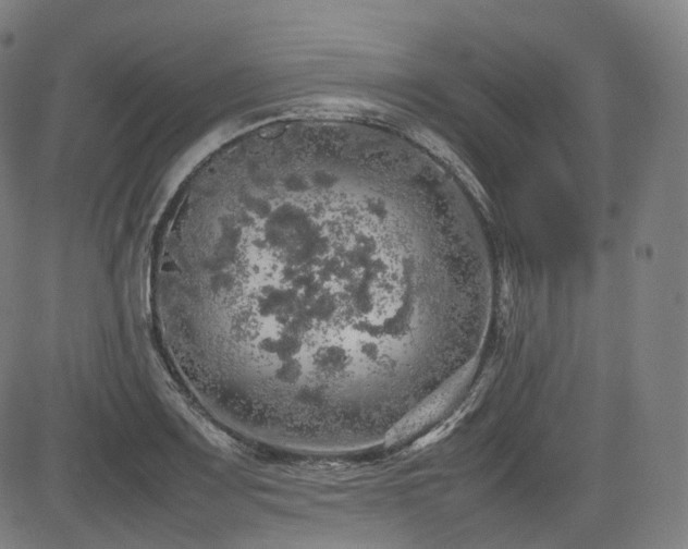 X0000085271083200703091346