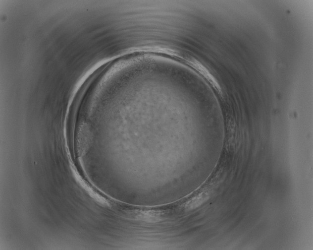 X0000085271084200703091346