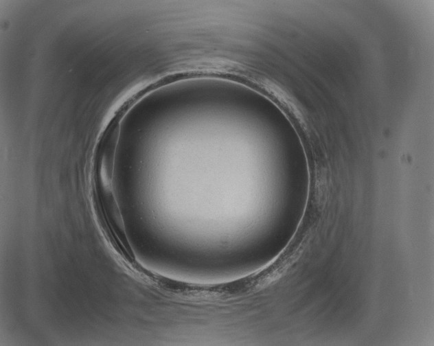 X0000085271085200703091346