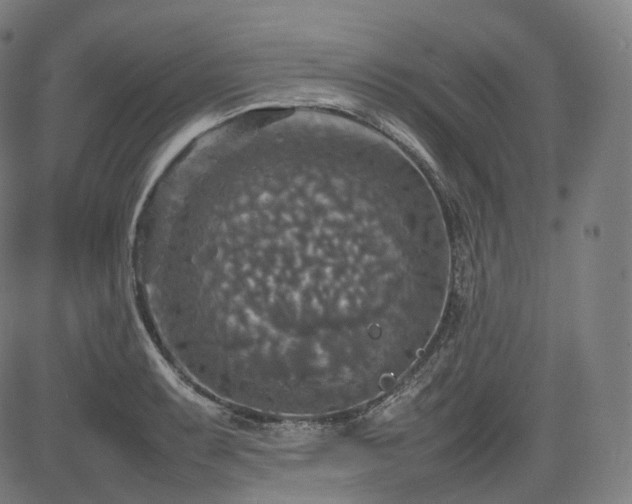 X0000085271087200703091346