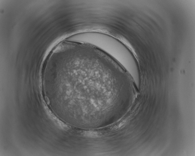 X0000085271088200703091346