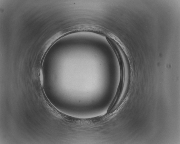 X0000085271089200703091346