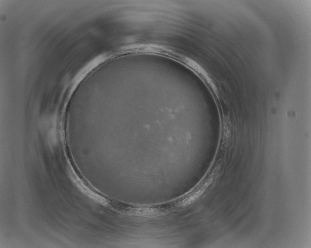 X0000085271090200703091346