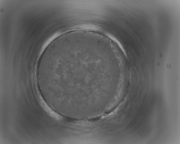 X0000085271091200703091346