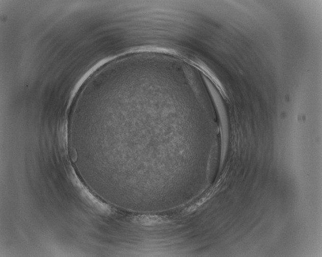 X0000085271092200703091346