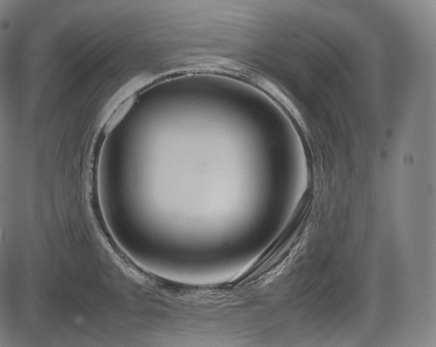 X0000085271093200703091346