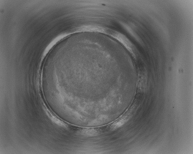 X0000085271094200703091345