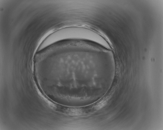 X0000085271095200703091345