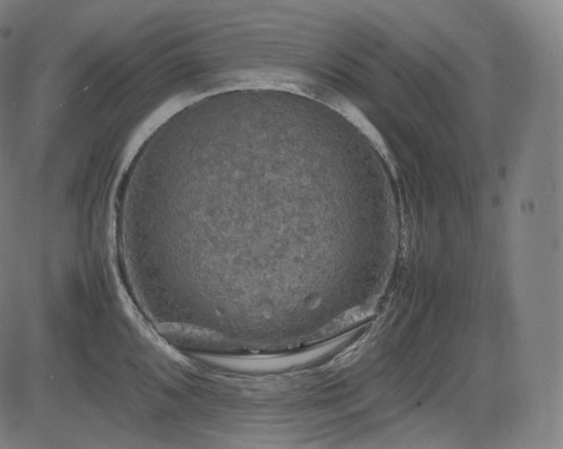 X0000085271096200703091345