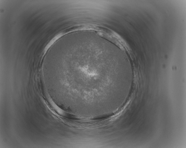 X0000085271097200703091345