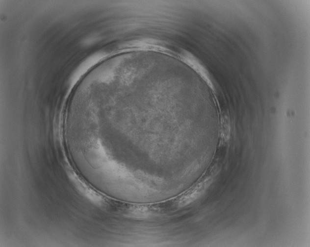 X0000085271098200703091345