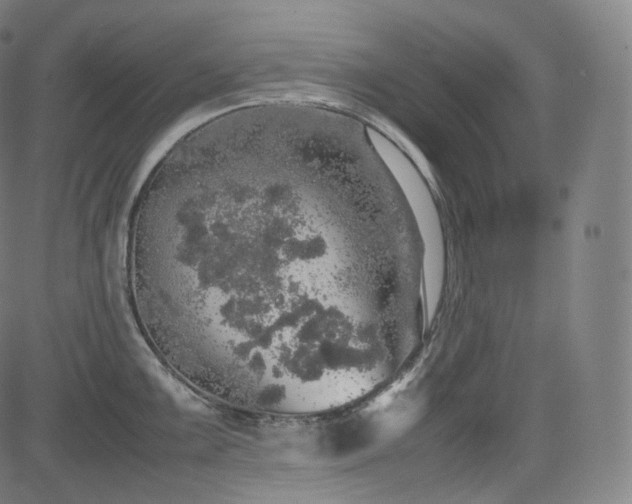 X0000085271099200703091345