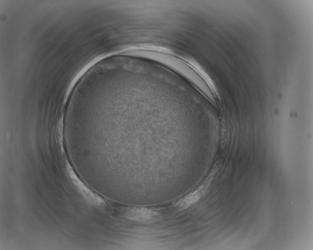 X0000085271100200703091345