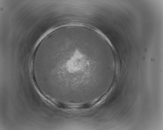 X0000085271101200703091345