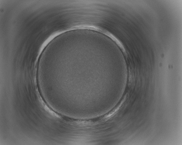 X0000085271102200703091345