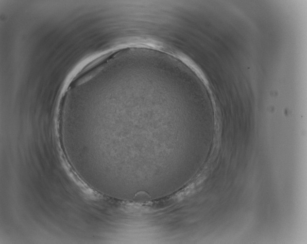 X0000085271104200703091345