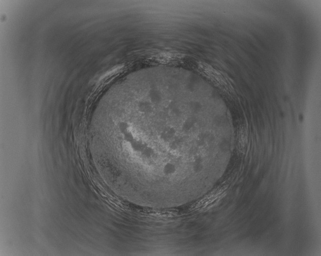 X0000085271105200703091345