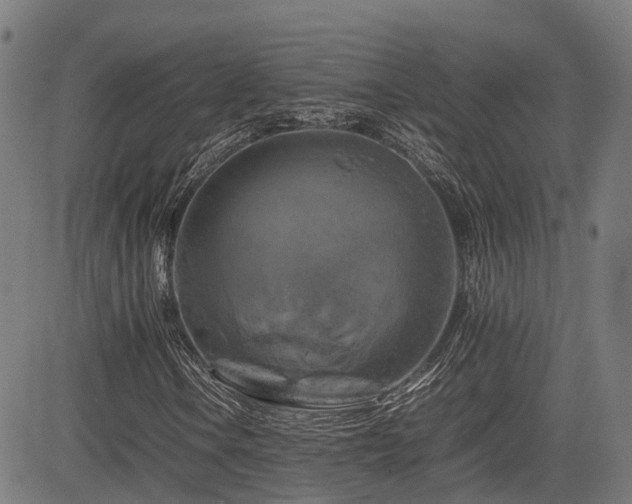 X0000085271106200703091345