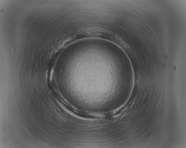 X0000085271108200703091345