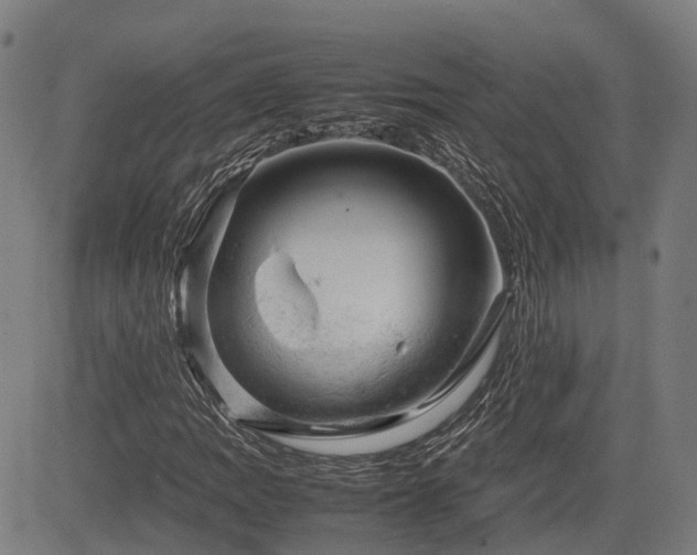 X0000085271109200703091345