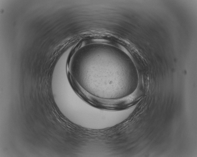 X0000085271110200703091345