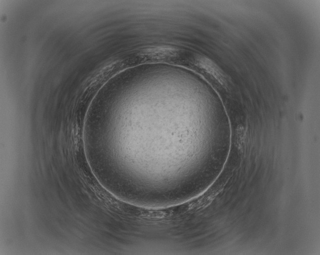 X0000085271111200703091345