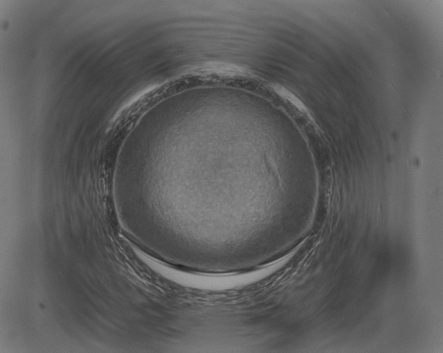 X0000085271112200703091345