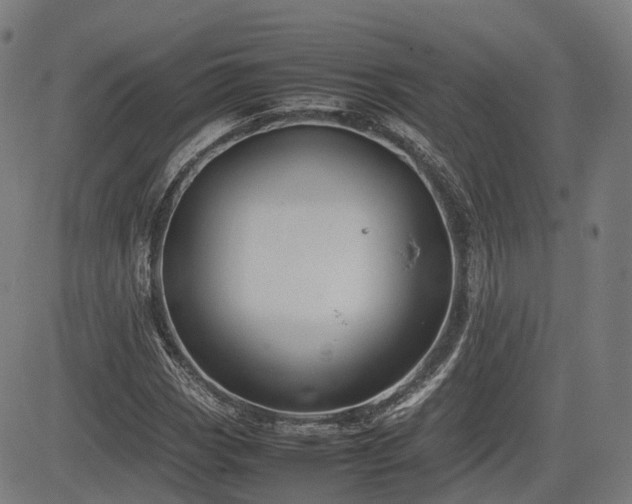 X0000085271113200703091345