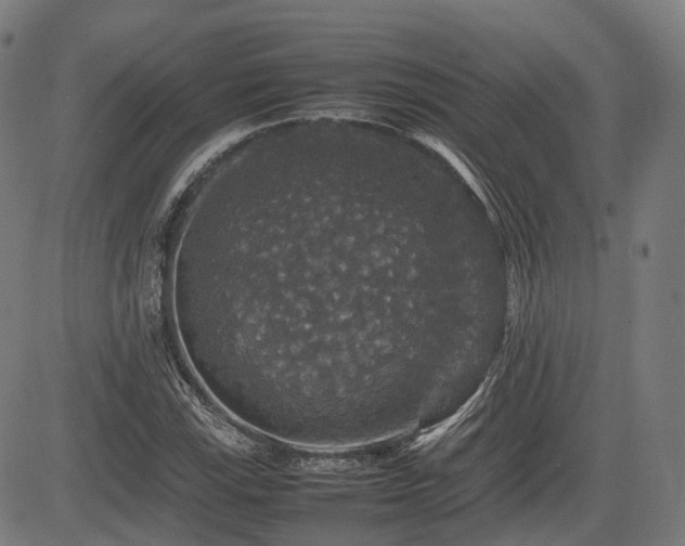 X0000085271115200703091345