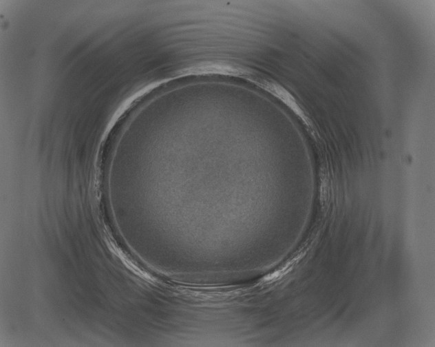 X0000085271116200703091345