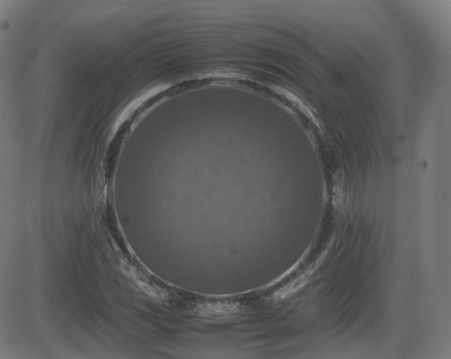 X0000085271117200703091345