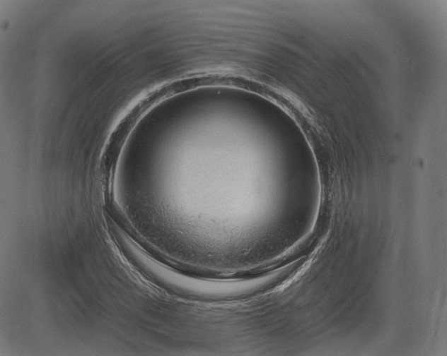 X0000085271118200703091345