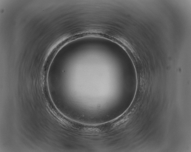 X0000085271119200703091345