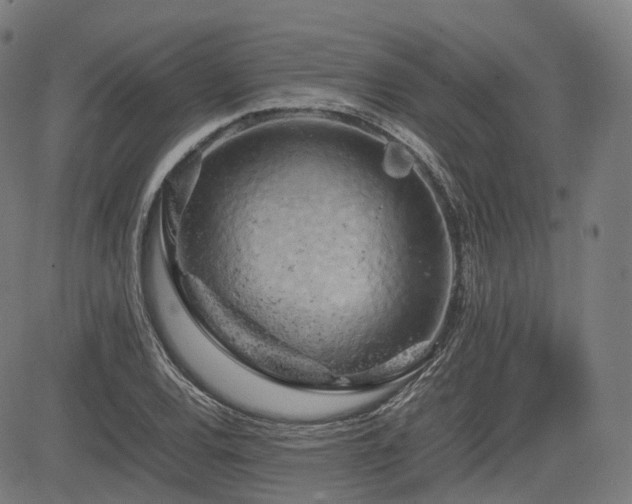 X0000085271120200703091345