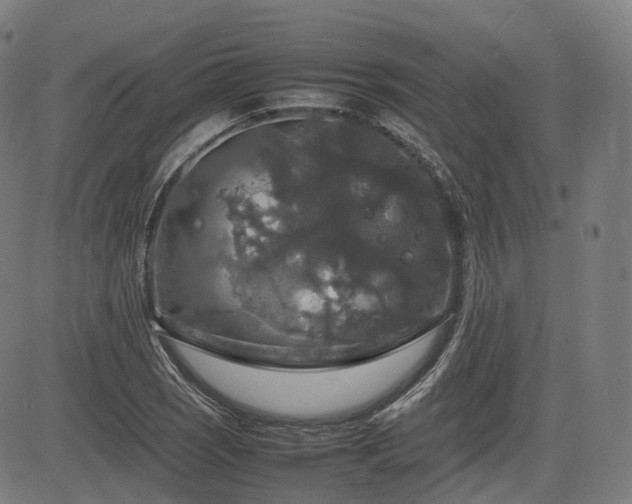 X0000085271121200703091345