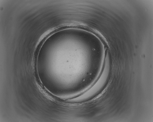 X0000085271122200703091345