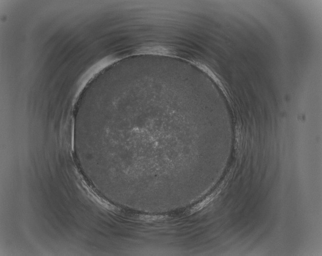 X0000085271123200703091345