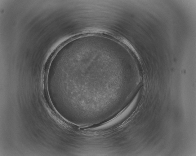 X0000085271124200703091345