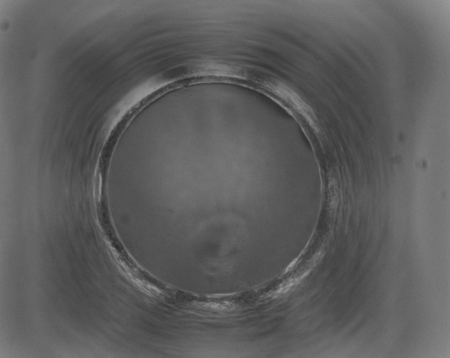 X0000085271125200703091345