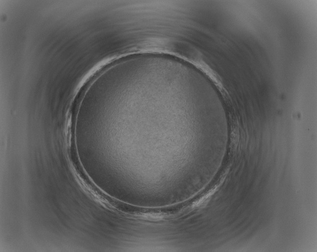 X0000085271126200703091345