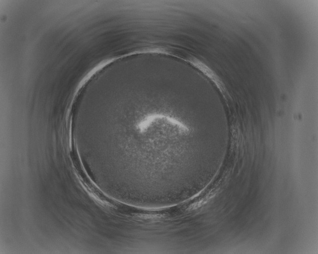 X0000085271127200703091345