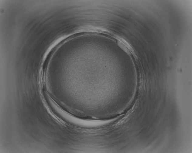 X0000085271128200703091345